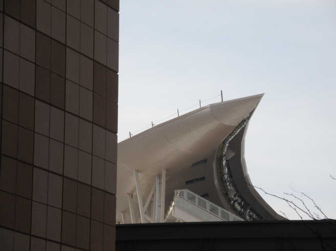 P5060214a.jpg