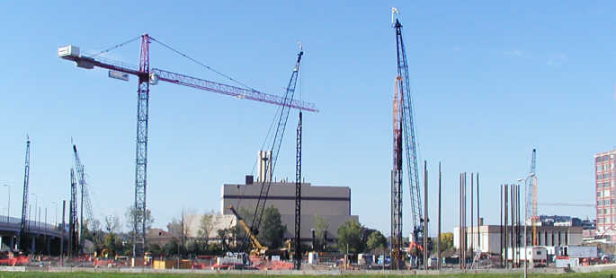 Cranes